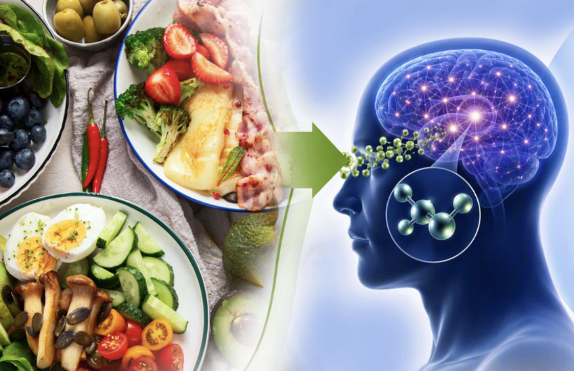 Graphic shows how the brain reacts to ketogenic foods.